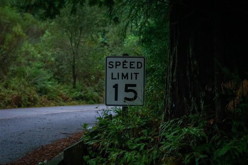 Rixmela Think fast tink slow